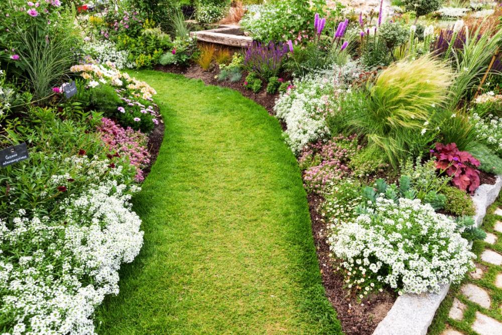 Plantation