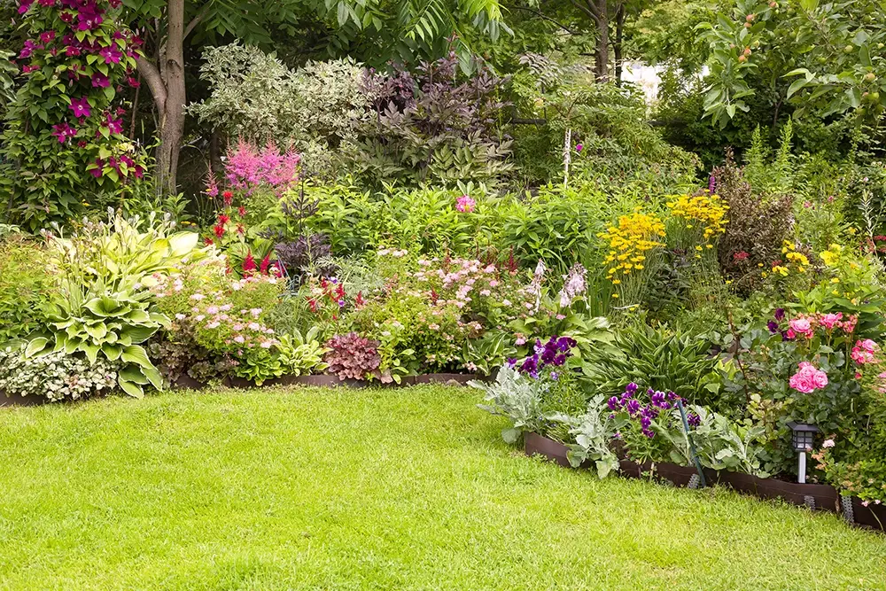 Jardinage_2